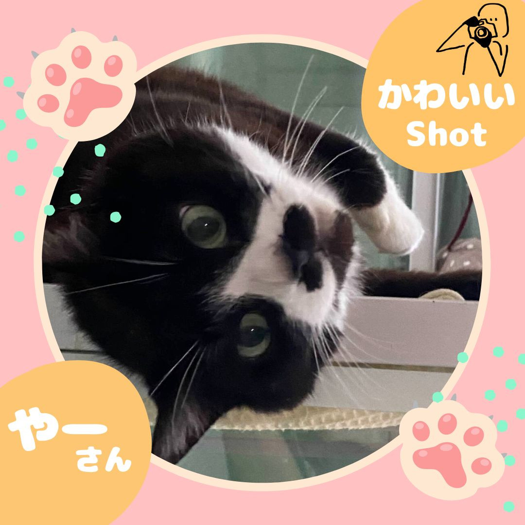 ヒロトーヨー住器の【むつ市】２０年使用したトイレを一新のお客さまの声の写真1