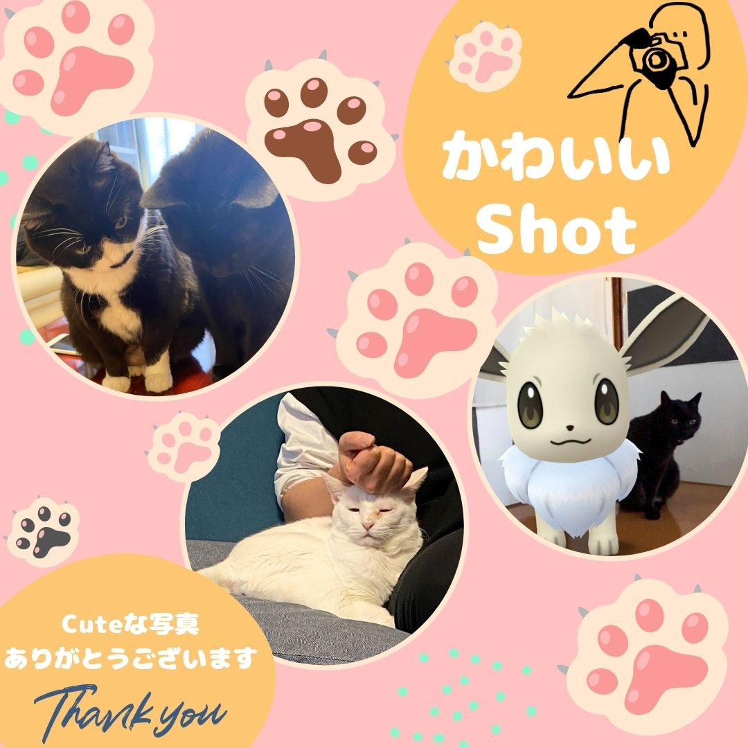 ヒロトーヨー住器の【むつ市】寒さ・逃げるを解決！ペットと暮らすための玄関リフォームのお客さまの声の写真1