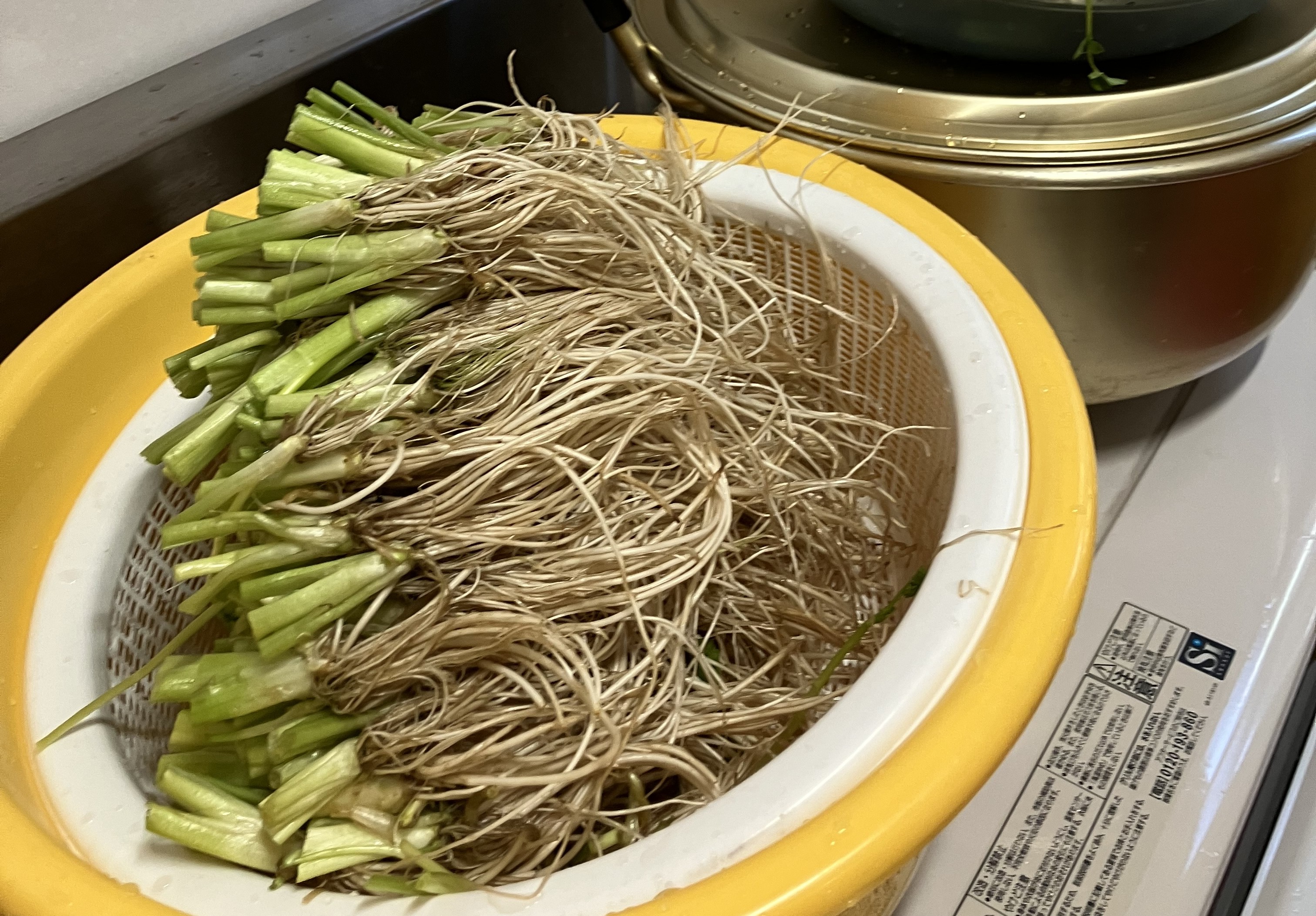 今年も！シークレット？セリ鍋 おさだガラスのブログ 写真3