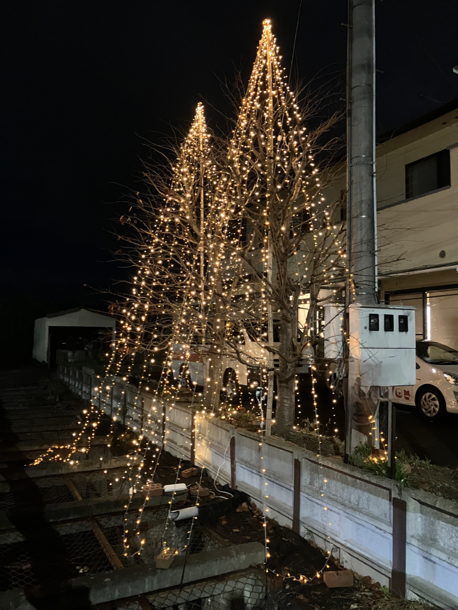 今年もやってます♪ あったかイルミネーション点灯しました おさだガラスのブログ 写真1