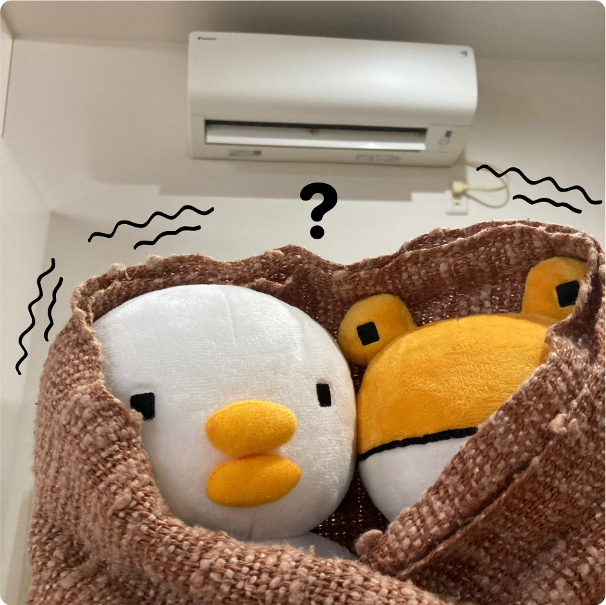 ＼ 1/31(土) ／補助金相談会＋プロの窓そうじレッスン 開催します！ トータスエステート 本店のイベントキャンペーン 写真3