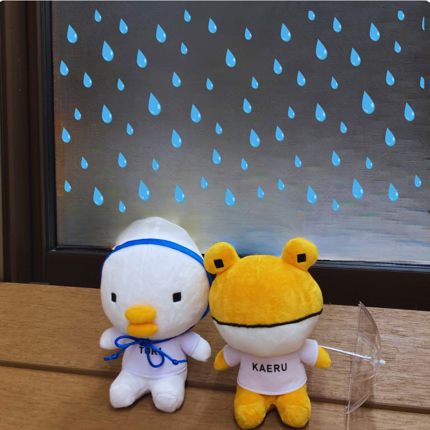 ＼ 1/31(土) ／補助金相談会＋プロの窓そうじレッスン 開催します！ トータスエステート 本店のイベントキャンペーン 写真4