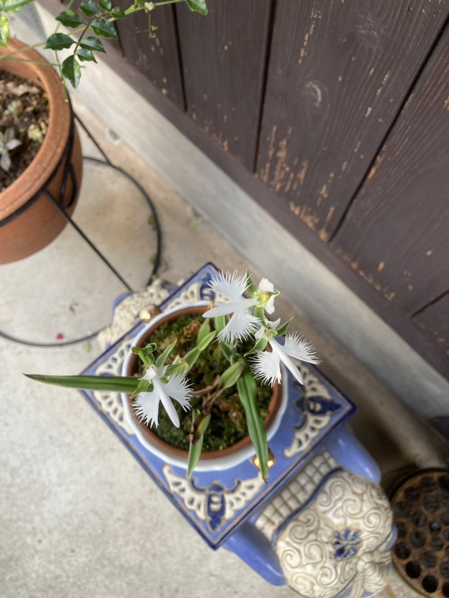 トータスエステート 本店の～補助金活用～とても寒い空間から内窓『インプラス』で快適な空間に【広島市安佐北区】のお客さまの声の写真1