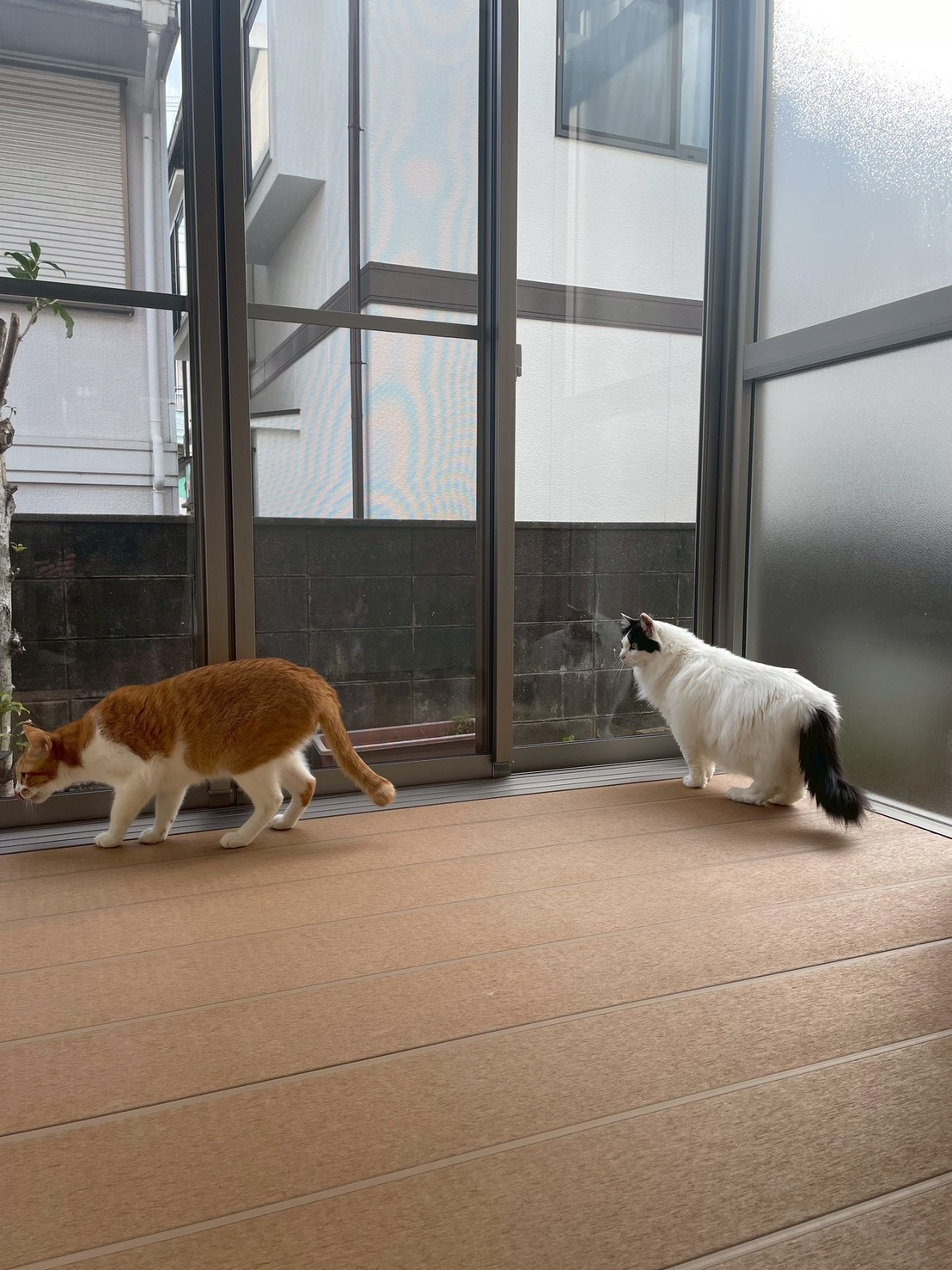 トータスエステート 本店の【広島市安佐北区】洗濯物・布団干しをラクに！日差しも防ぐサンルーム施工事例のお客さまの声の写真2