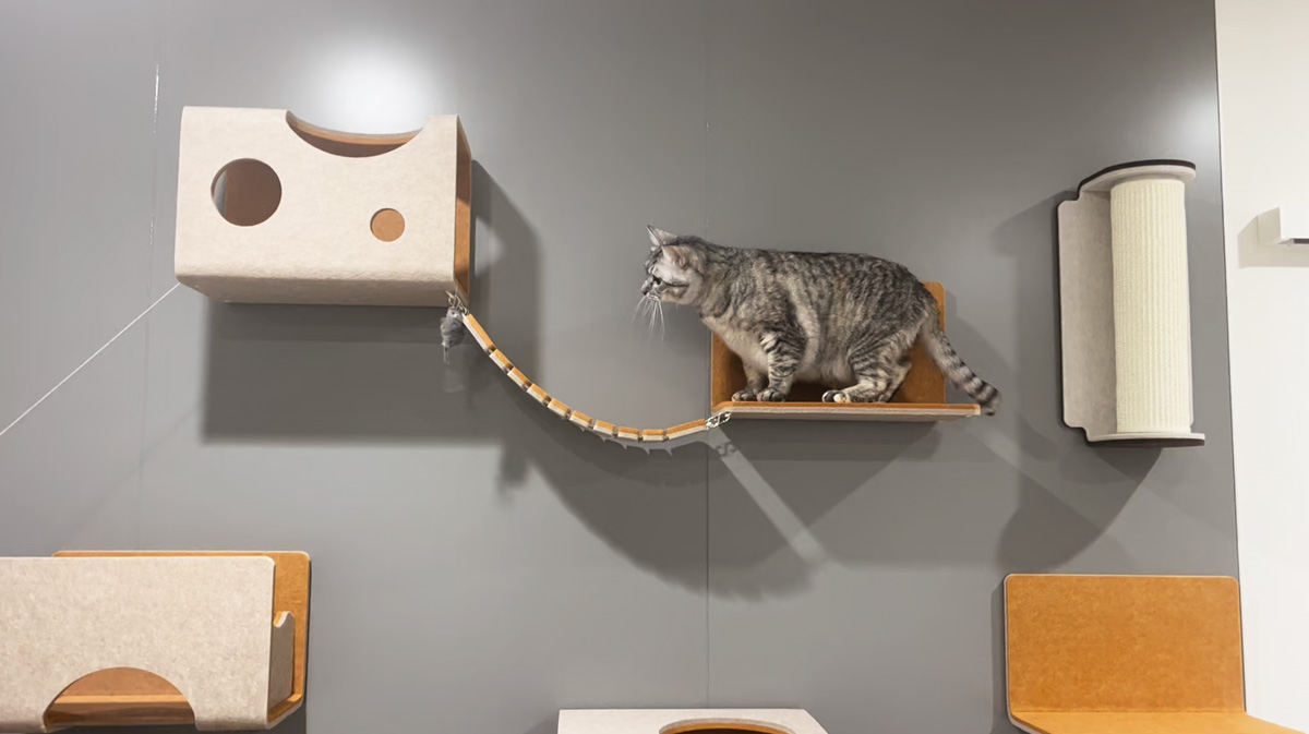 石田トーヨー住器の猫ちゃんも喜ぶ!キャットウォーク猫壁(にゃんぺき)を都城で体験できる!の施工事例詳細写真7