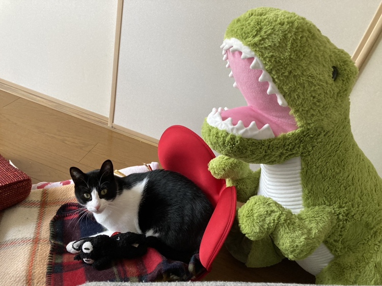 2月22日は猫の日！かわいい猫たちに癒されよう！ 藤野トーヨー住器 市原のブログ 写真1